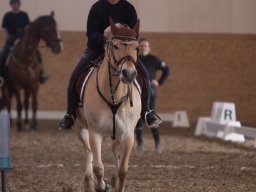 IMG_3141_web